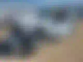 Vehicle Image- 2021 Jeep Wrangler