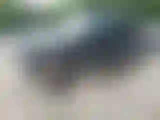 Vehicle Image- 2014 Jeep Wrangler