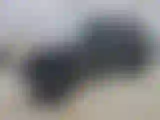 Vehicle Image- 2016 Jeep Wrangler