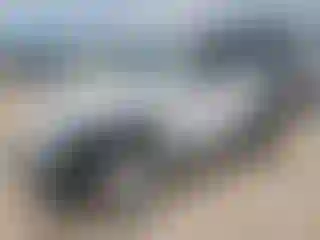 Vehicle Image- 2023 Jeep Wrangler