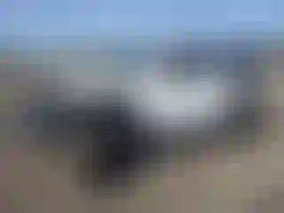 Vehicle Image- 2020 Jeep Wrangler