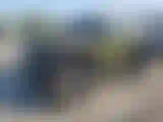 Vehicle Image- 2021 Jeep Wrangler