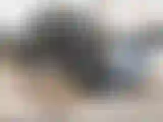 Vehicle Image- 2018 Jeep Wrangler