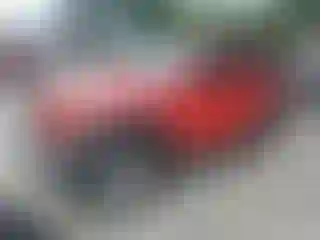 Vehicle Image- 2019 Jeep Wrangler