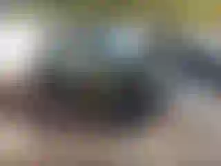 Vehicle Image- 2021 Jeep Wrangler