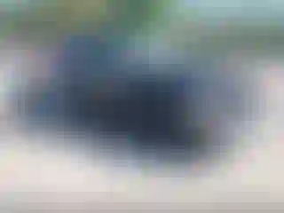 Vehicle Image- 2019 Jeep Wrangler