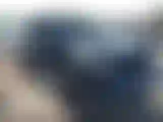 Vehicle Image- 2020 Jeep Wrangler