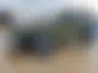 Vehicle Image- 2021 Jeep Wrangler