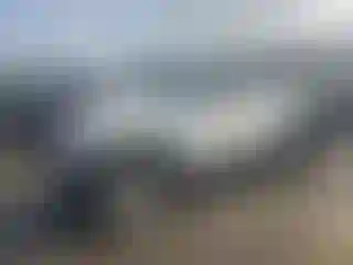 Vehicle Image- 2021 Jeep Wrangler