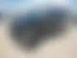 Vehicle Image- 2021 Jeep Wrangler
