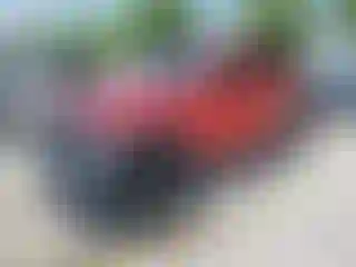 Vehicle Image- 2022 Jeep Wrangler