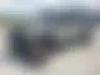 Vehicle Image- 2020 Jeep Wrangler