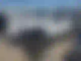 Vehicle Image- 2020 Jeep Wrangler