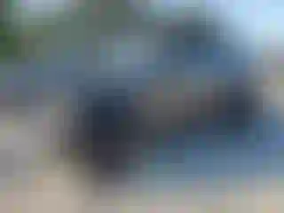 Vehicle Image- 2020 Jeep Wrangler