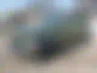 Vehicle Image- 2022 Jeep Wrangler