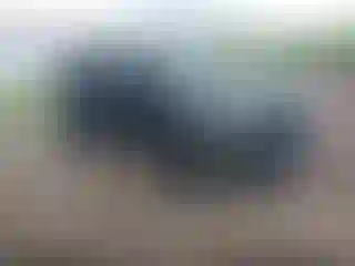 Vehicle Image- 2021 Jeep Wrangler
