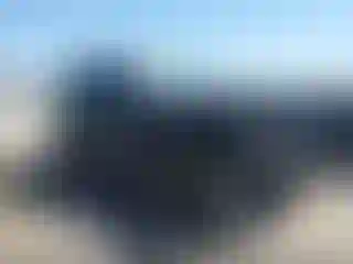 Vehicle Image- 2022 Jeep Wrangler