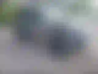 Vehicle Image- 2019 Jeep Wrangler