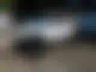 Vehicle Image- 2019 Jeep Wrangler