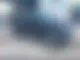 Vehicle Image- 2021 Jeep Wrangler