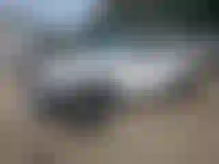 Vehicle Image- 2020 Jeep Wrangler