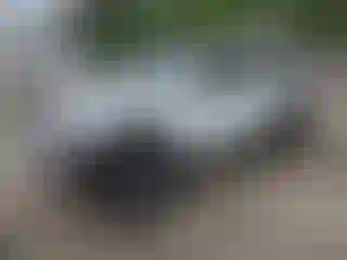Vehicle Image- 2018 Jeep Wrangler
