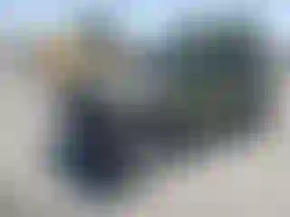 Vehicle Image- 2021 Jeep Wrangler