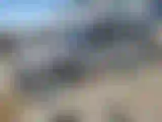 Vehicle Image- 2019 Jeep Wrangler