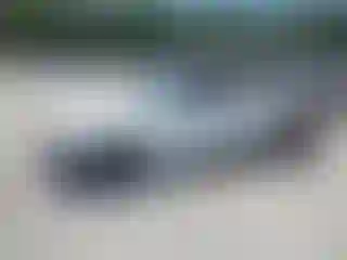 Vehicle Image- 2019 Jeep Wrangler