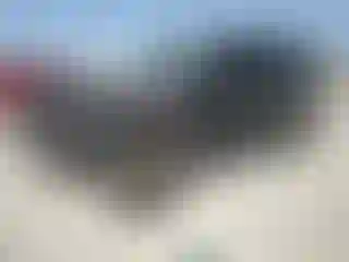 Vehicle Image- 2021 Jeep Wrangler