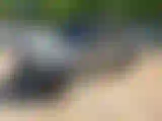 Vehicle Image- 2019 Jeep Wrangler