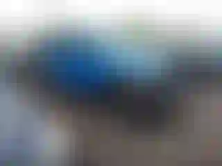 Vehicle Image- 2023 Jeep Wrangler
