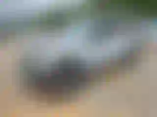 Vehicle Image- 2022 Jeep Wrangler