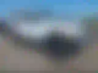Vehicle Image- 2021 Jeep Wrangler