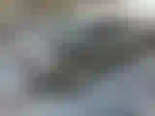 Vehicle Image- 2016 Jeep Patriot