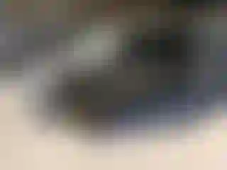 Vehicle Image- 2016 Jeep Patriot