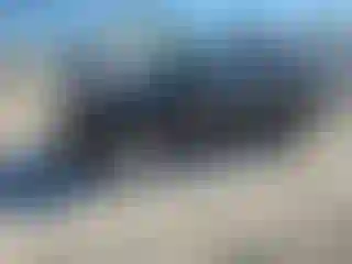 Vehicle Image- 2013 Jeep Patriot