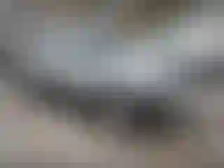 Vehicle Image- 2016 Jeep Patriot