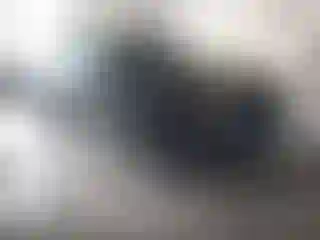 Vehicle Image- 2012 Jeep Patriot