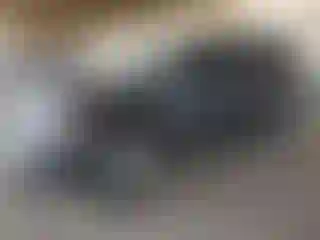 Vehicle Image- 2016 Jeep Patriot