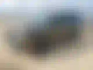 Vehicle Image- 2016 Jeep Patriot