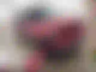 Vehicle Image- 2014 Jeep Patriot