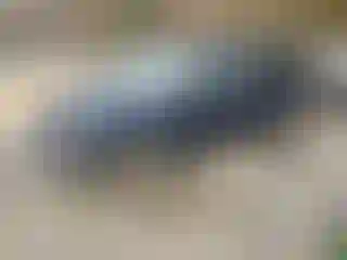 Vehicle Image- 2014 Jeep Patriot