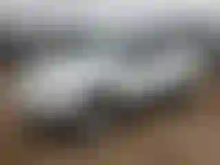 Vehicle Image- 2014 Jeep Patriot