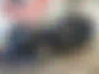 Vehicle Image- 2015 Jeep Patriot