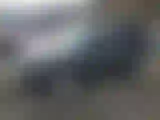 Vehicle Image- 2014 Jeep Patriot