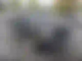 Vehicle Image- 2016 Jeep Patriot