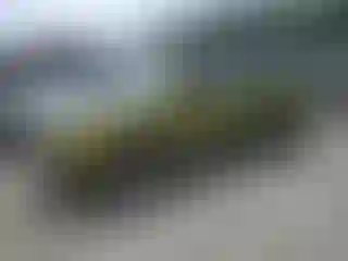 Vehicle Image- 2012 Jeep Patriot