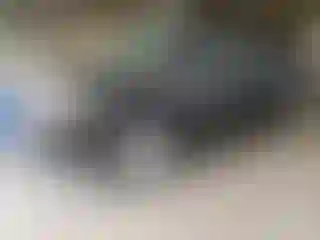 Vehicle Image- 2014 Jeep Patriot