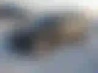 Vehicle Image- 2017 Jeep Patriot